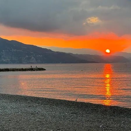 Joli Bord De Entre Menton Et Monaco 로퀴에브륀캡마르탱